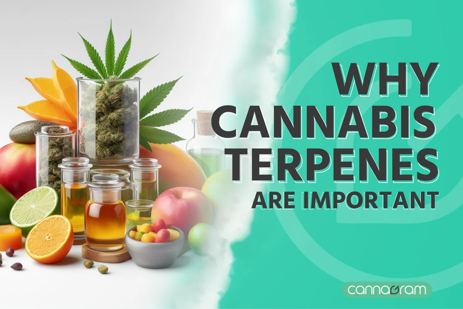 What is Terpene ,Why Cannabis Terpenes are Important and more. The best products you can find on Cannagram, the fastest cannabis delivery near you!
