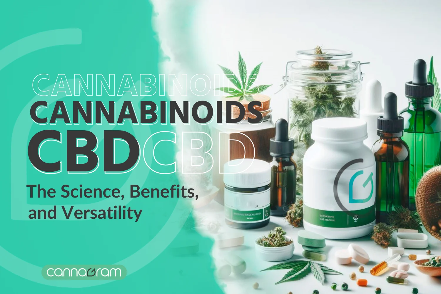 CBD-Cannabinoids-Exploring-the-Science-Benefits-and-Versatility-CBD-Oil-Products-2023