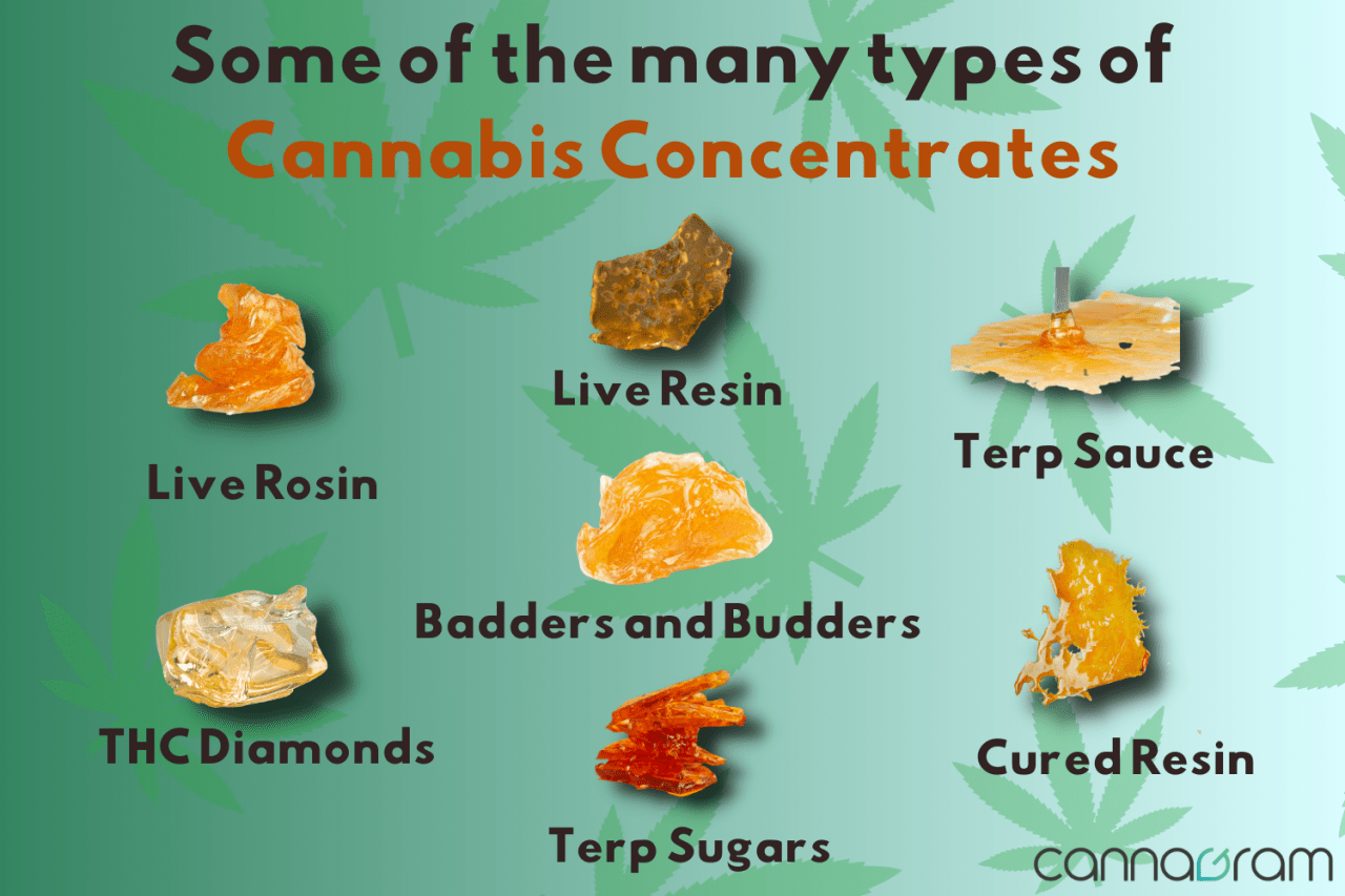 AComprehensive Guide to 7 Popular Types of Cannabis Concentrates Cannagram