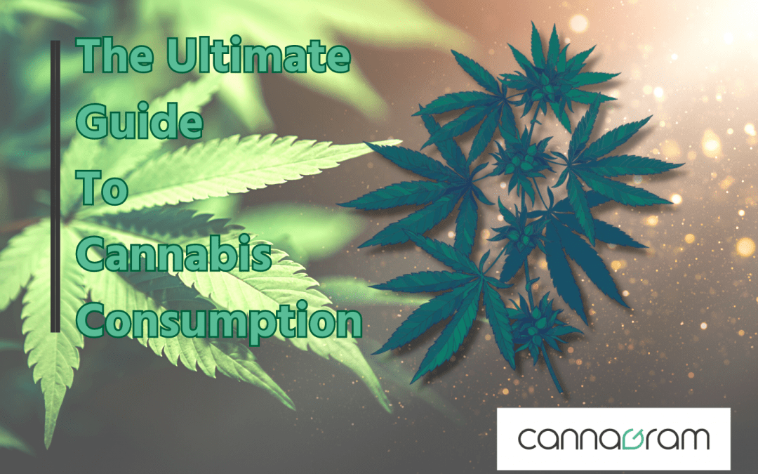 The Ultimate Guide to Cannabis Consumption: Exploring Different Methods and Their Pros and Cons
