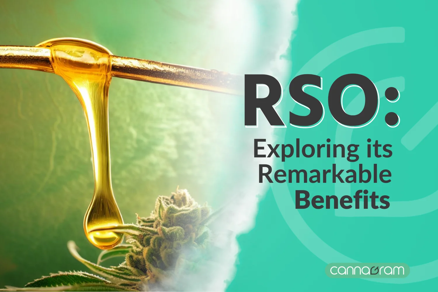 Cannabis Oil Dripping on a Marijuana Bud for Sacramento's Premier Cannabis Delivery -Exploring the Benefits of RSO (Rick Simpson Oil) in 2023