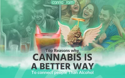 Alcohol vs Weed: 5 Reasons Why Weed Triumphs Over Alcohol in Social Settings