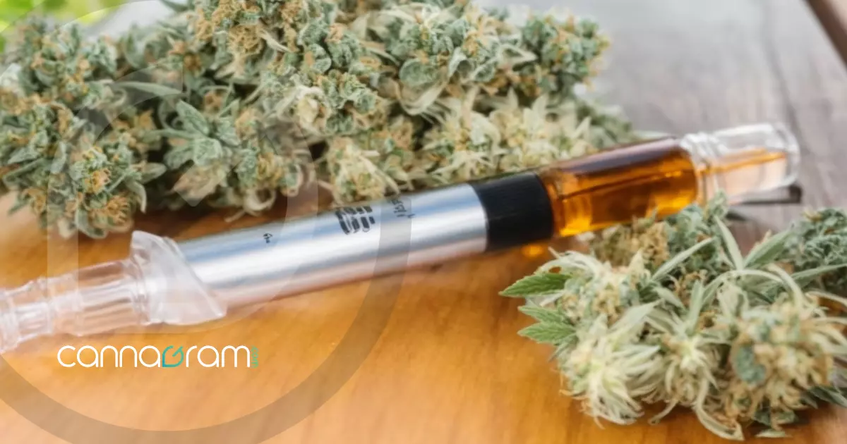 how cannabis extracts are consumed, photo of a syringe with rick simpson oil near me