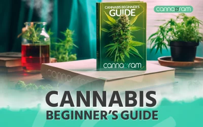 Cannabis Beginners Guide – All the Amazing Things About Cannabis 2023