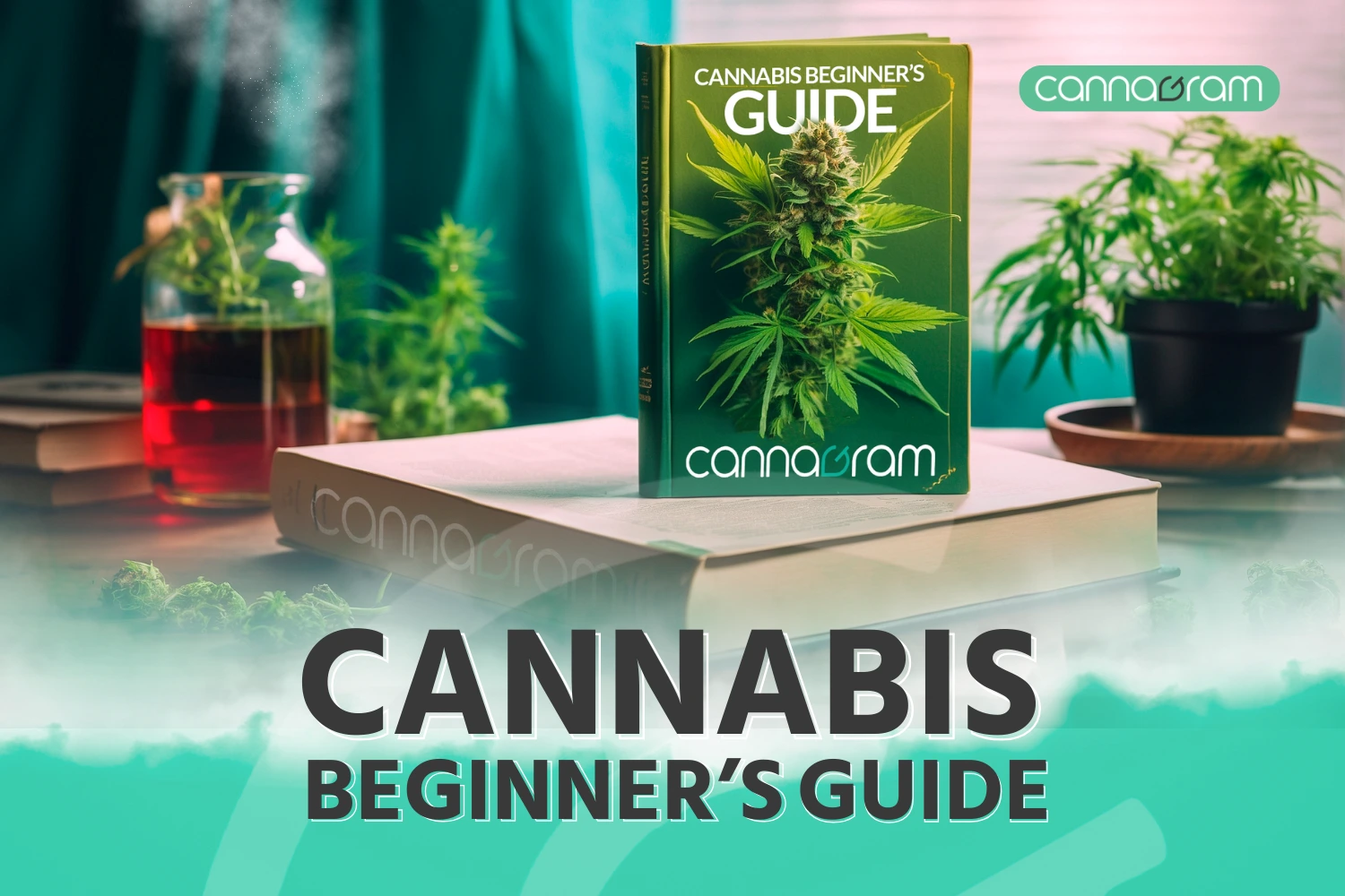 Image of cannabis beginners guide book with a weed flower - Cannagram Weed Delivery Sacramento