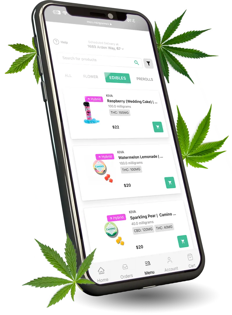  A smartphone with cannabis leafs , slide , weed app, Cannagram Delivery Service.