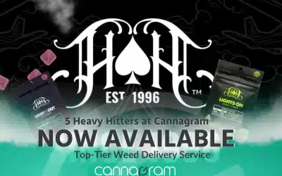 Discover 5 Heavy Hitters products at Cannagram: Top-Tier Weed Delivery Service