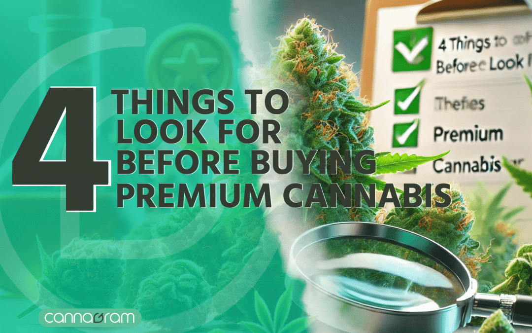 Premium Cannabis Flower: 4 Best Things to Look For Before Buying