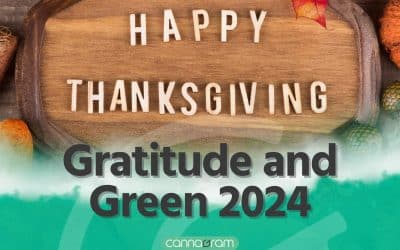 Thanksgiving 2024 – Grateful Moments and Green with Cannagram