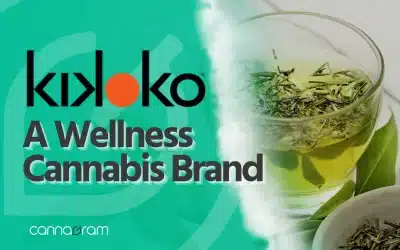 Cannabis Brand – The incredible Kikoko and their 5 incredibe products