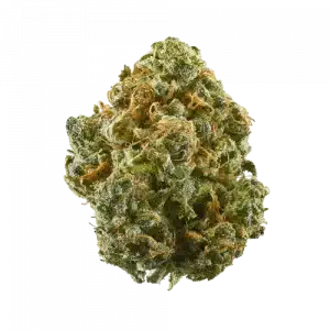 A premium Blue Dream cannabis flower with a mix of blue and green hues covered in resin.