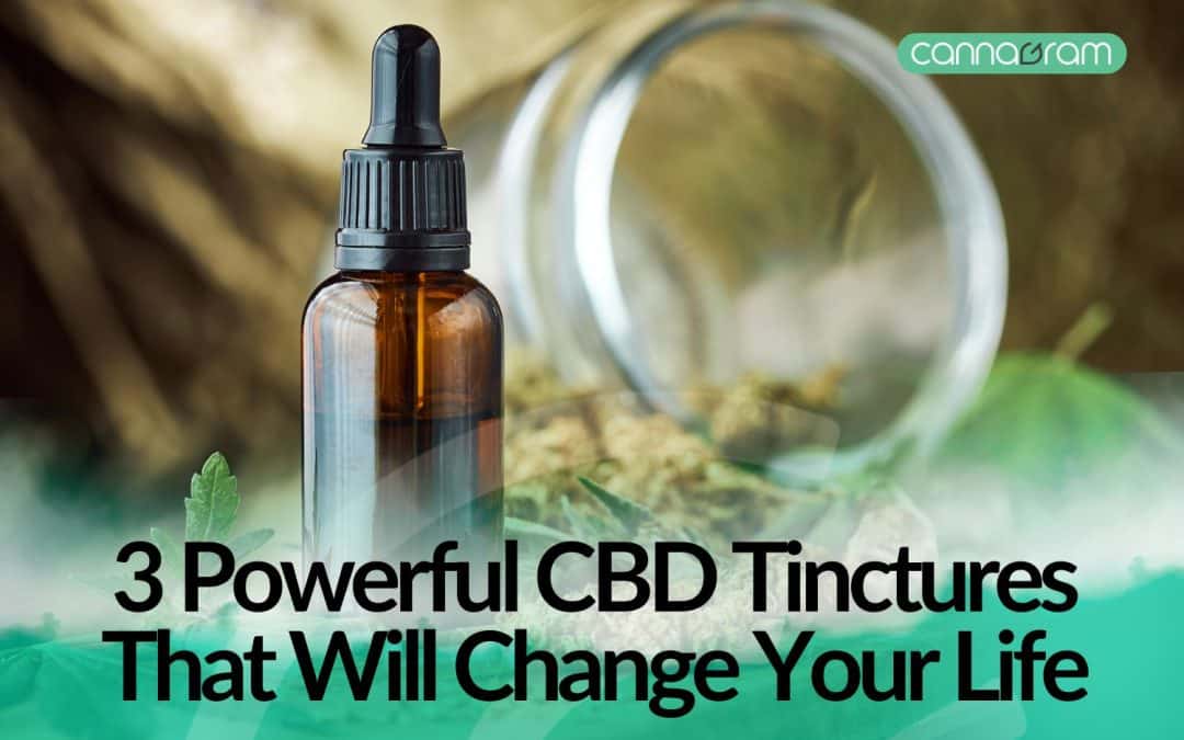 CBD Tinctures: 3 powerful CBD That Will Change Your Life