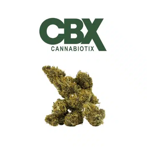 CBX Zenergy premium cannabis flower featuring dense, vibrant buds coated in frosty trichomes under the Cannabiotix (CBX) logo.