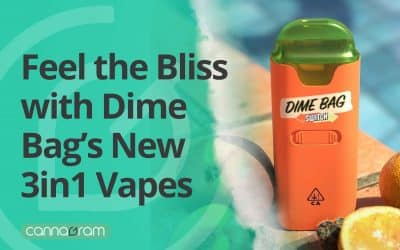 Vape and Cannabis: Feel the Bliss with Dime Bag’s New 3in1 Vapes