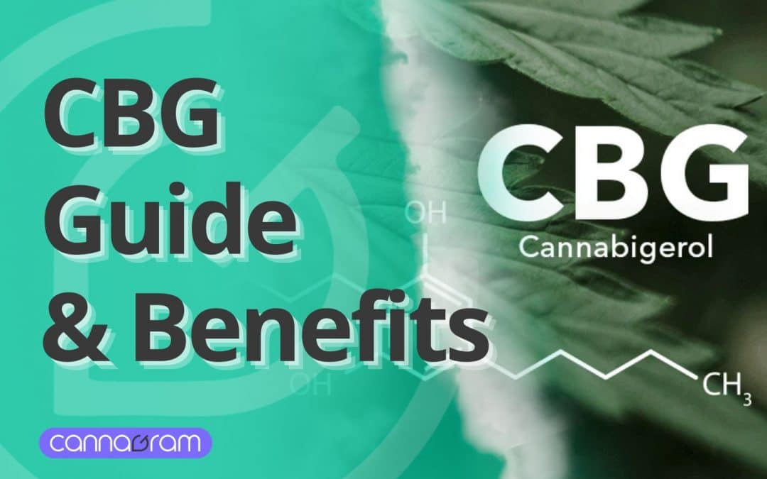 CBG: 5 Incredible Benefits It Can Boost Your Health & Energy