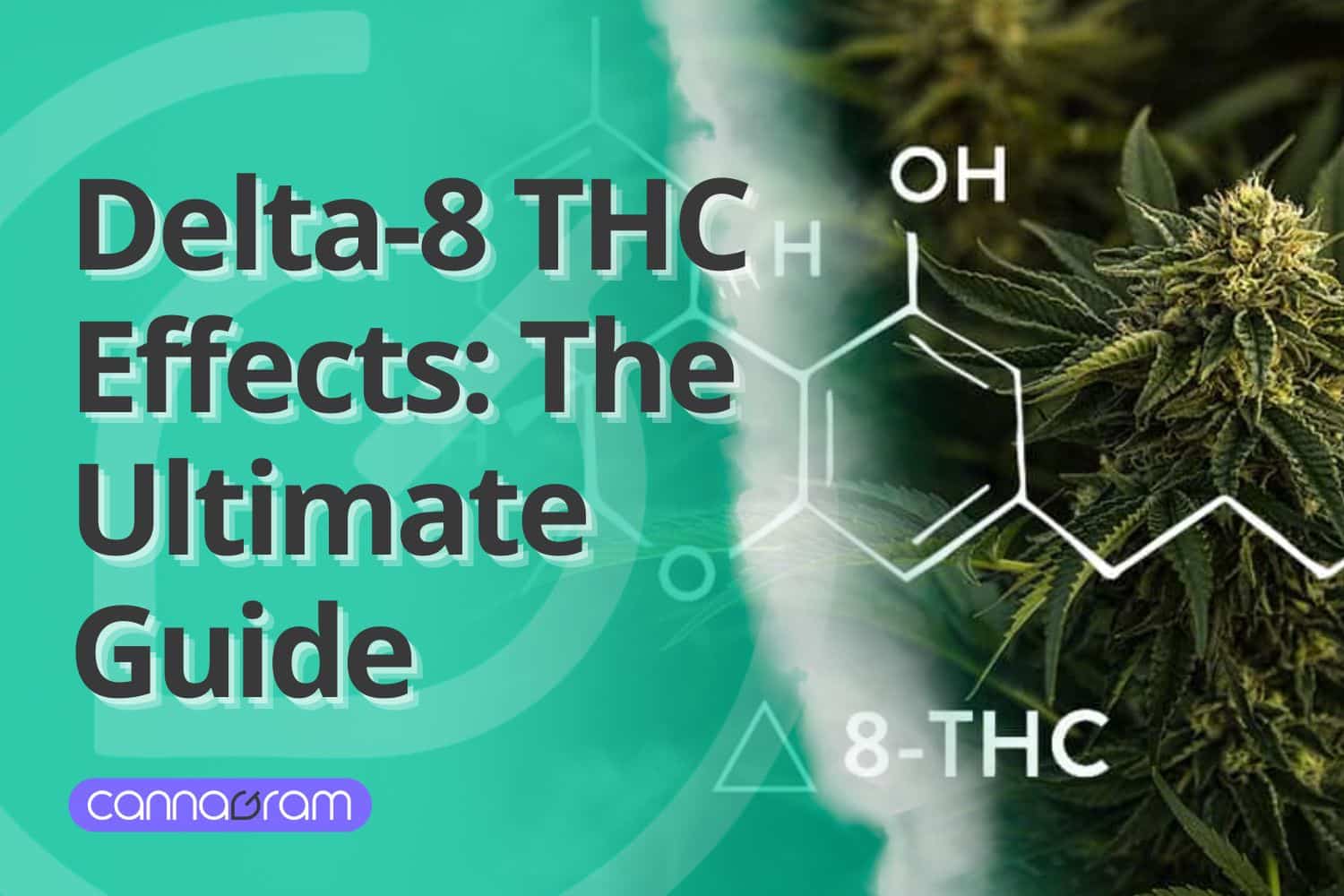 A checklist and magnifying glass with premium cannabis flower, illustrating four things to consider before buying high-quality cannabis, with Cannagram logo.