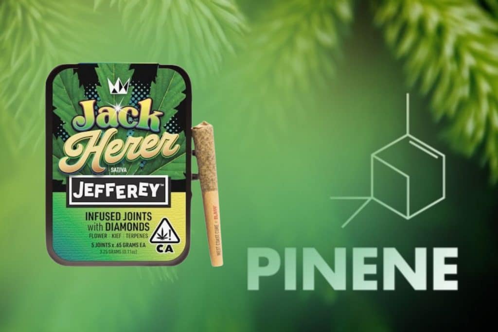 Jack Herer Jefferey Infused Joints with Pinene Terpene