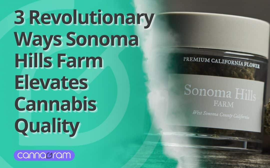 3 Revolutionary Ways Sonoma Hills Farm Elevates Cannabis Quality