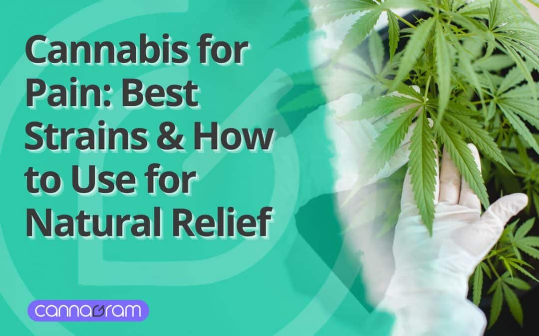 Cannabis for Pain: Best Strains & How to Use for Natural Relief 2025