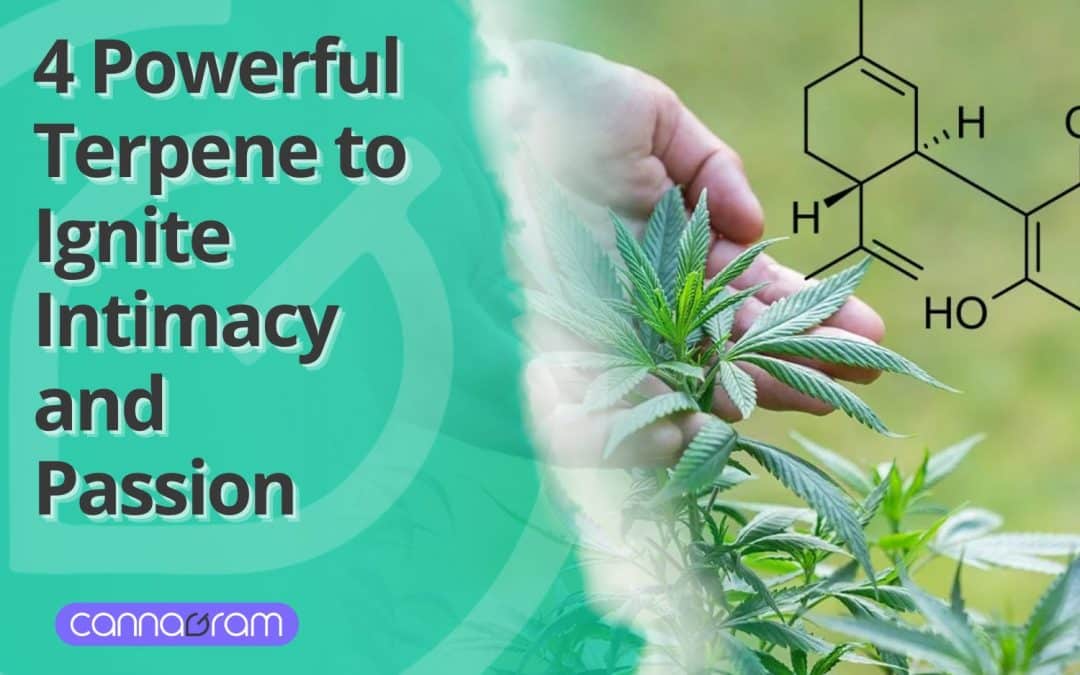 4 Powerful Terpene to Ignite Intimacy and Passion