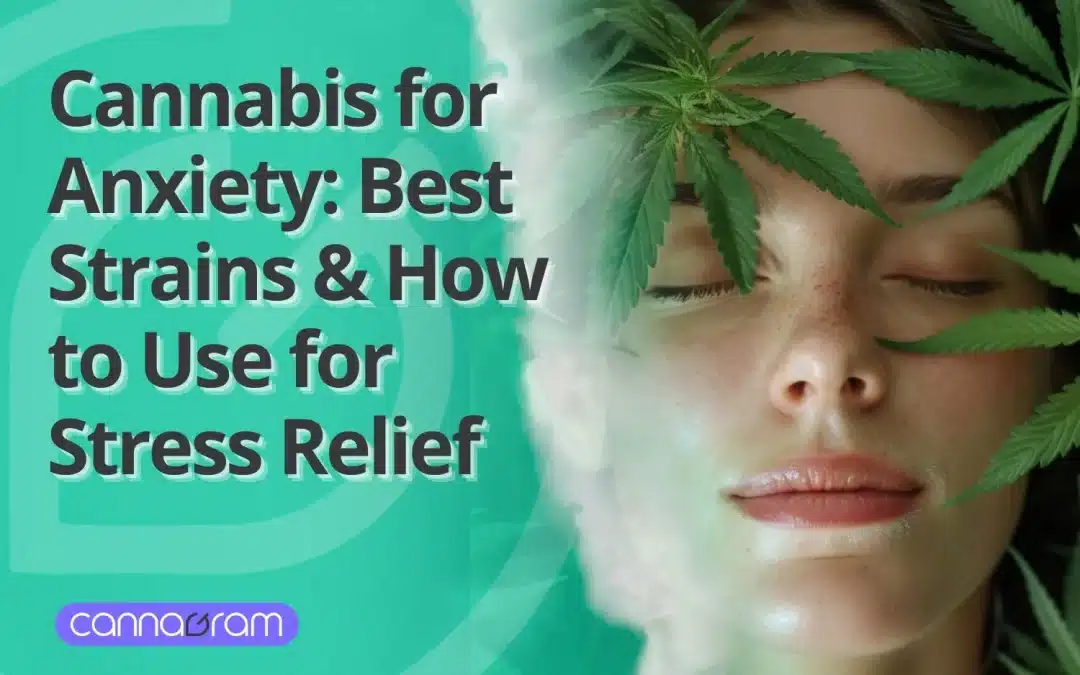 Cannabis for Anxiety: Best Strains & How to Use for Stress Relief 2025