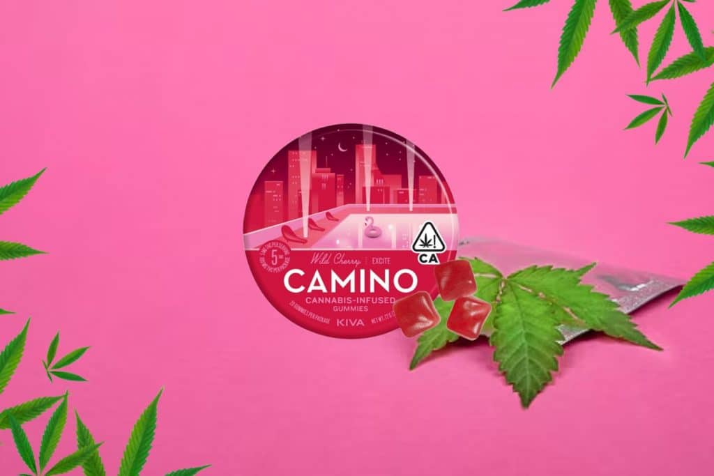 Camino Wild Cherry (Excite) cannabis-infused gummies in a round tin, with three red gummies beside it, set against a vibrant pink background with cannabis leaves and a sealed package.