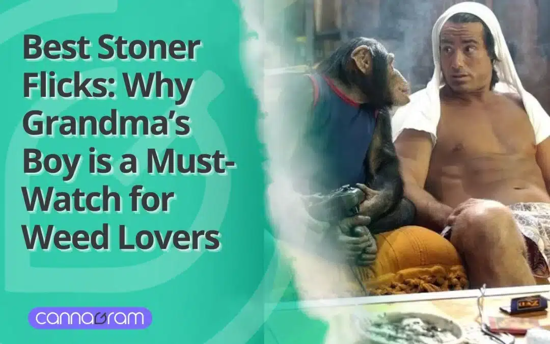 Best Stoner Flicks: Why Grandma’s Boy is a Must-Watch for Weed Lovers 2025