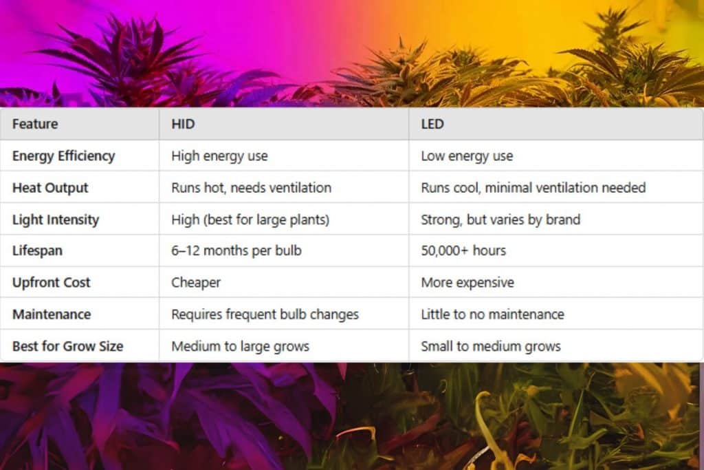 Comparison table of HID vs. LED grow lights for cannabis cultivation, listing factors like energy efficiency, heat output, light intensity, lifespan, upfront cost, maintenance, and best grow size. The background features cannabis plants under colorful lighting.