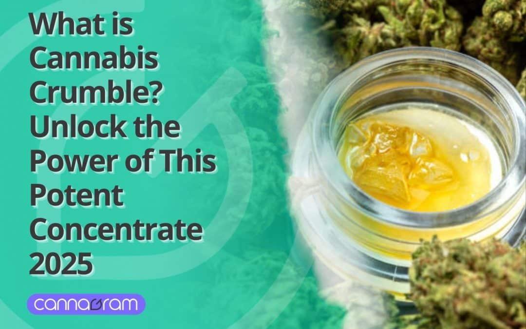 What is Cannabis Crumble? Unlock the Power of This Potent Concentrate 2025