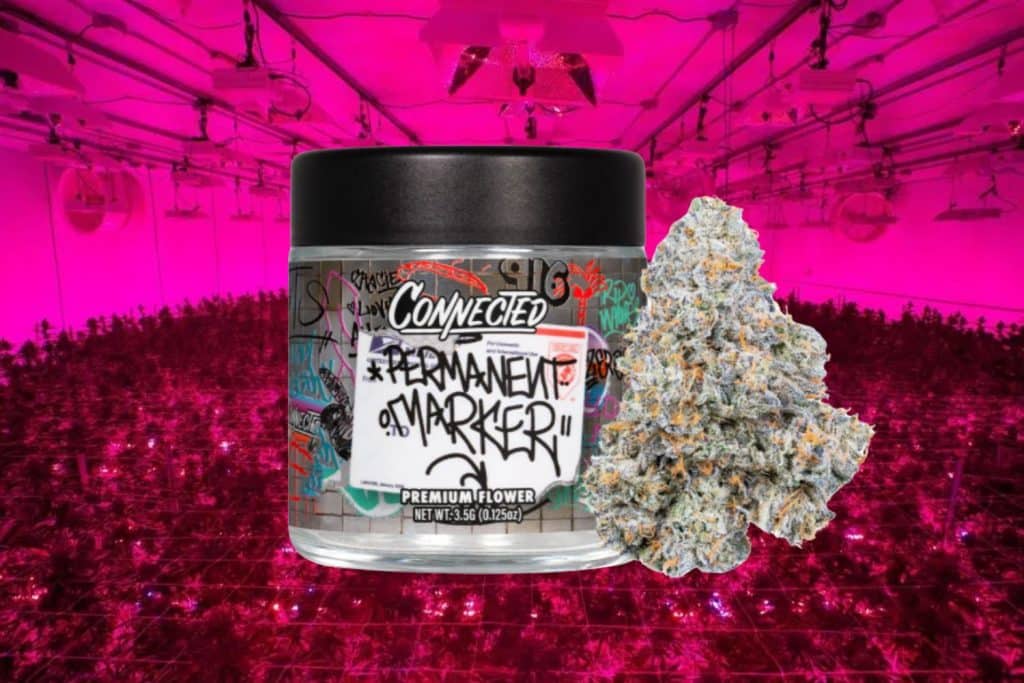 A jar of 'Connected Permanent Marker' premium cannabis flower with a close-up of a frosty cannabis bud. The background showcases a large indoor grow operation with pink LED lighting.